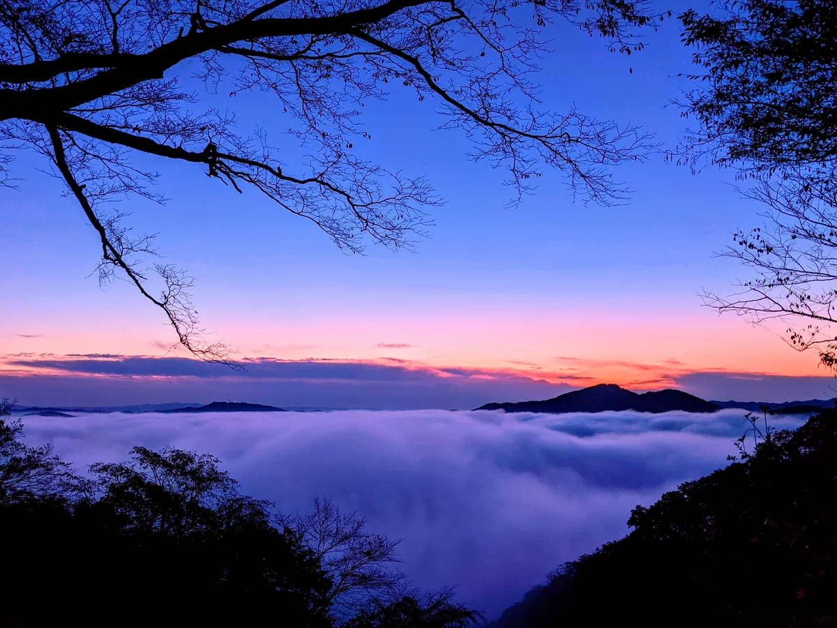 skydanceさんの投稿写真