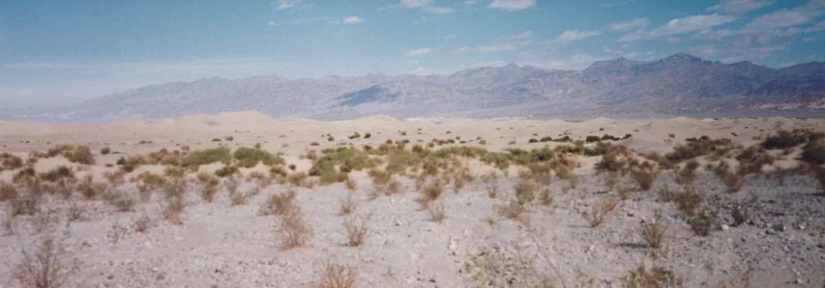 投稿写真：デューンズ