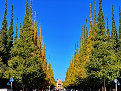  | 絶景事典