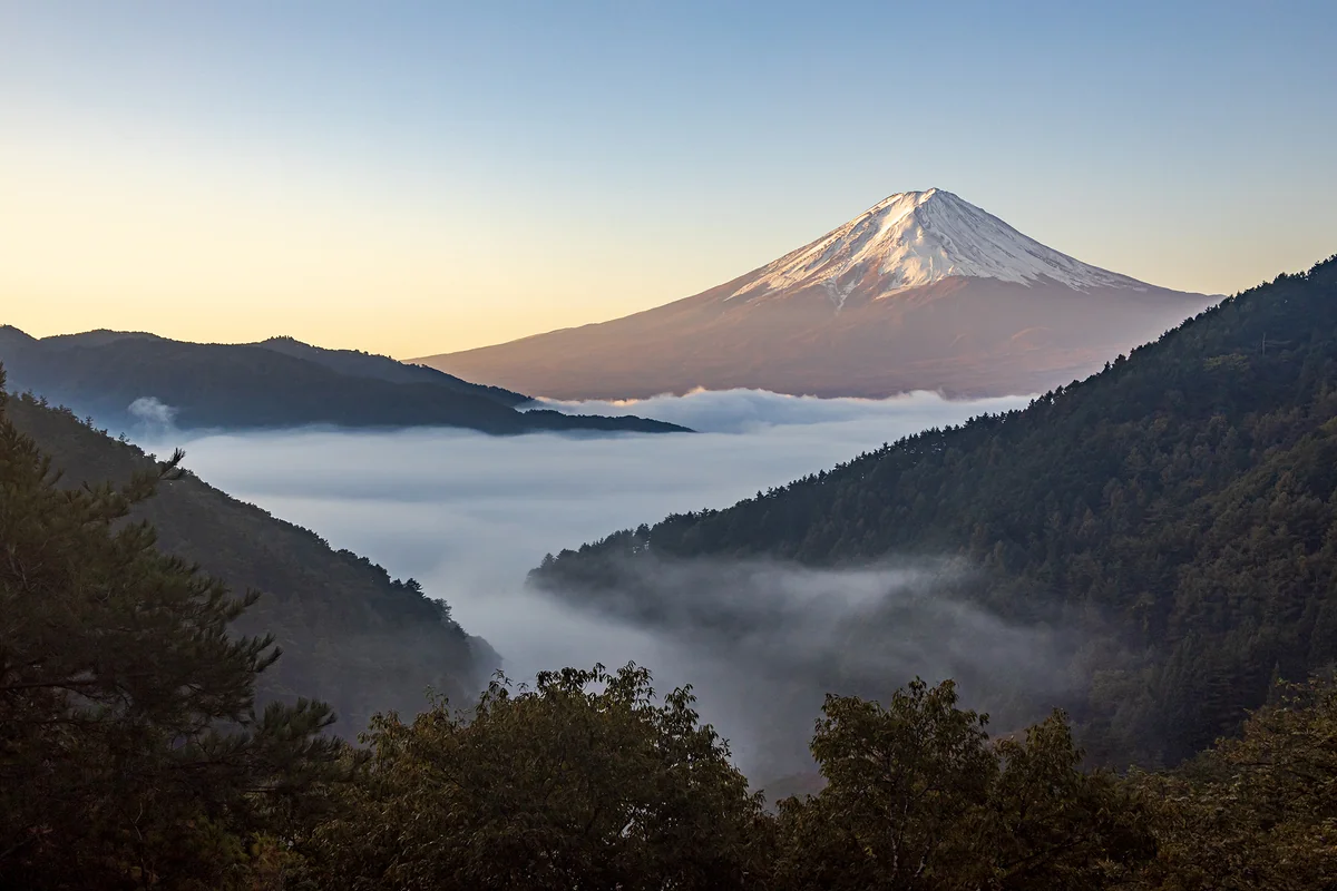 投稿写真：雲海に染まる富士