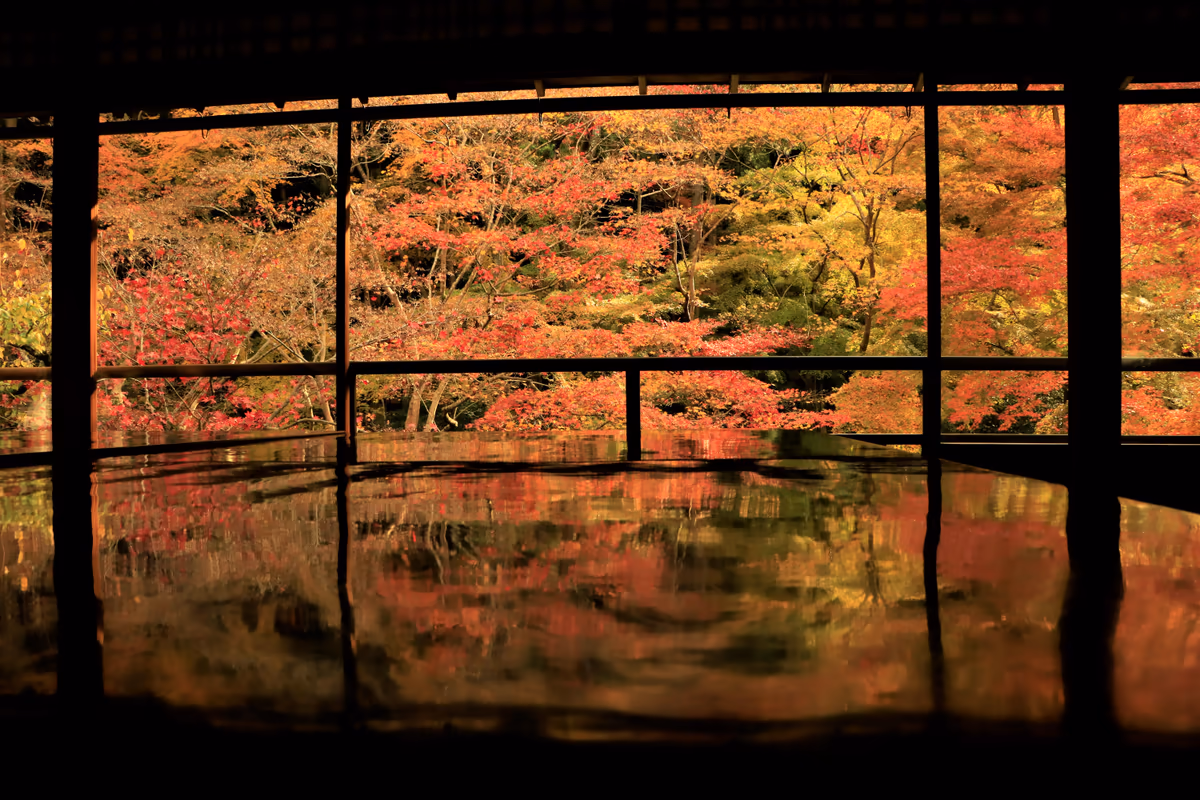 投稿写真：瑠璃光院の紅葉