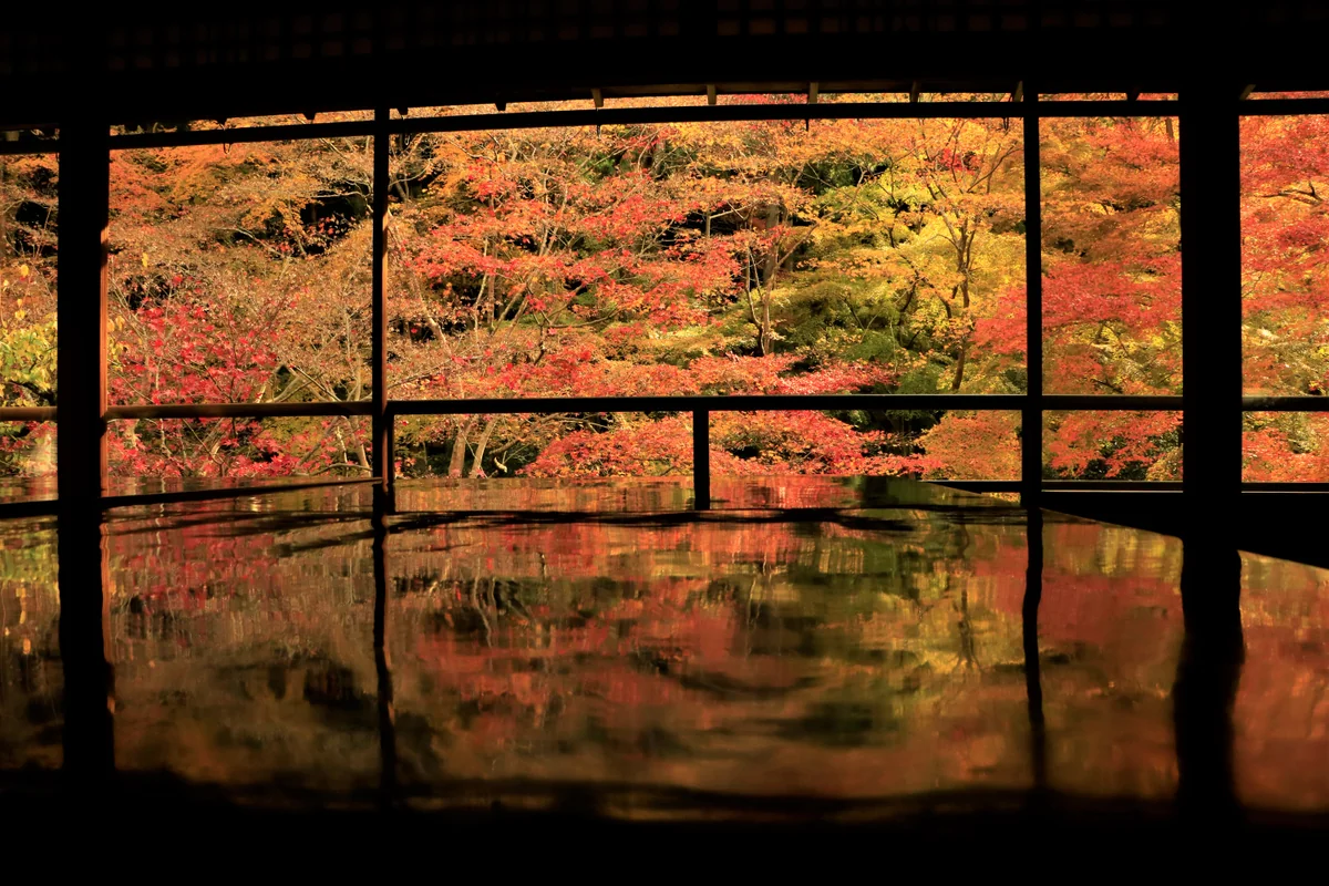 投稿写真：瑠璃光院の紅葉