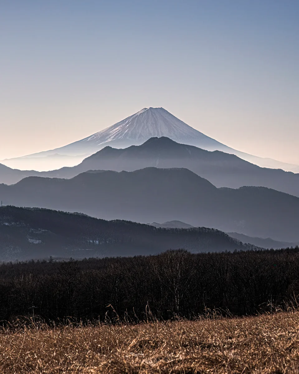 投稿写真：八ヶ岳山麓から遠望する早朝の富士山