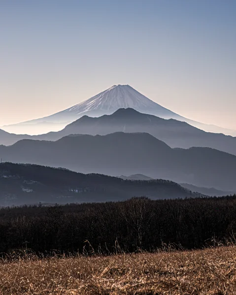 投稿：八ヶ岳山麓から遠望する早朝の富士山