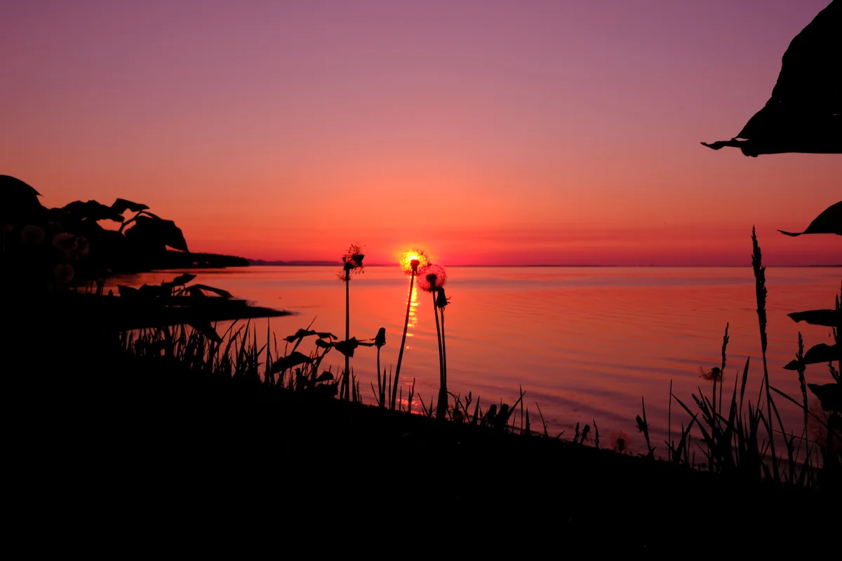 投稿写真：命の灯