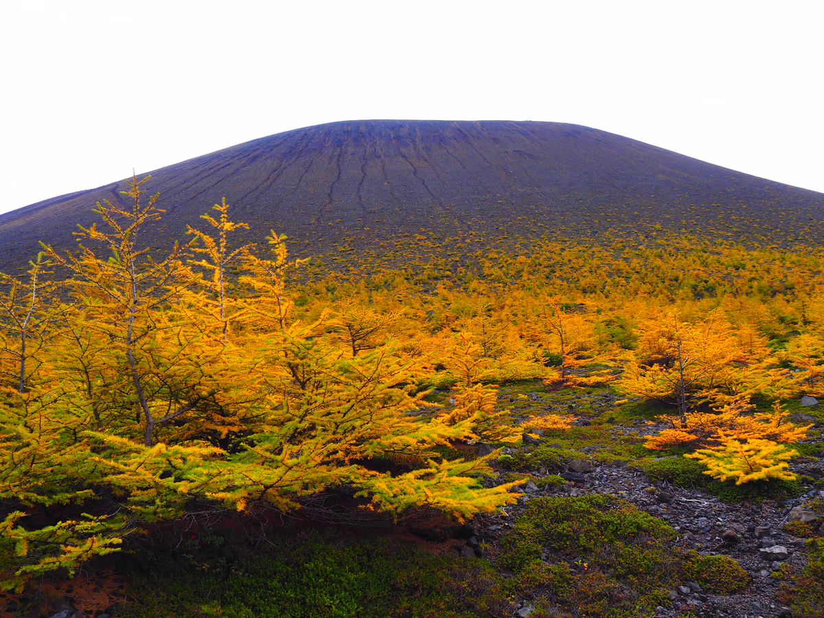投稿写真：Jバンドからの浅間山