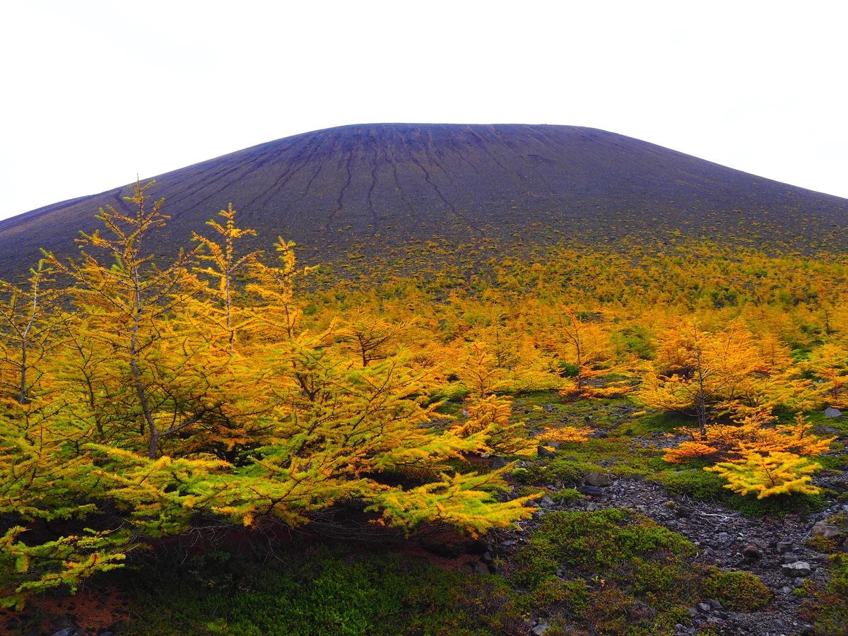 投稿写真：Jバンドからの浅間山