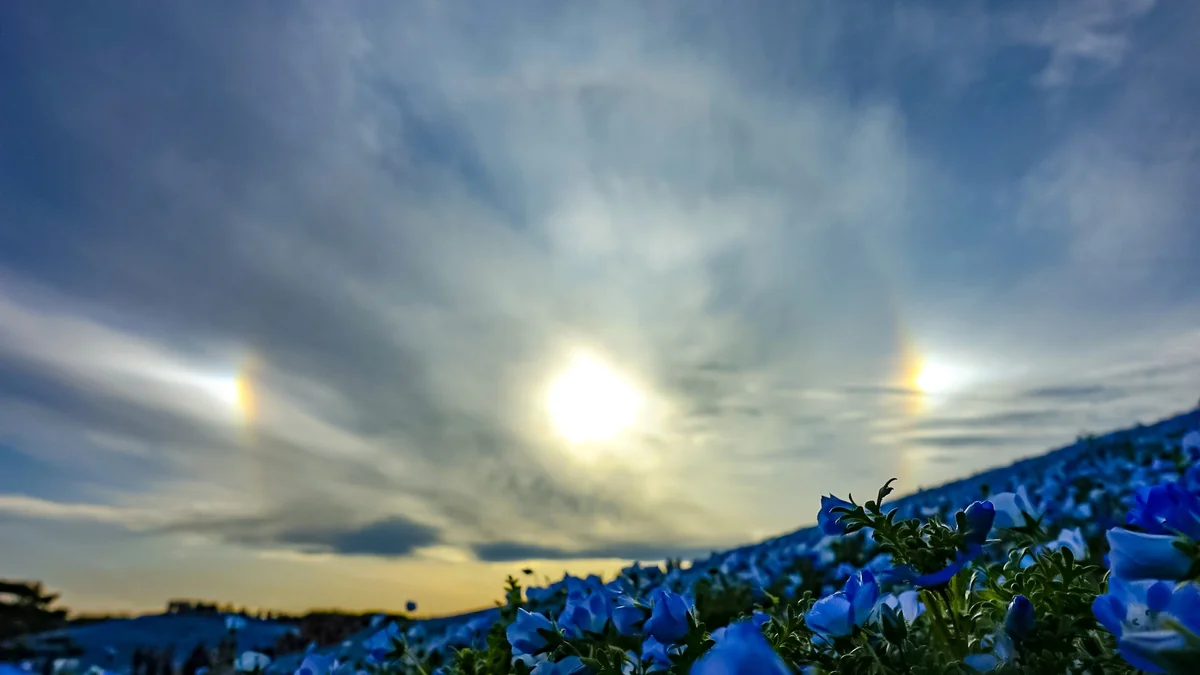 投稿写真：幻日