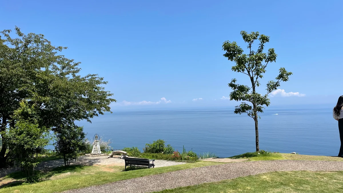 投稿写真：ACAO FOREST