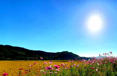  | 絶景事典