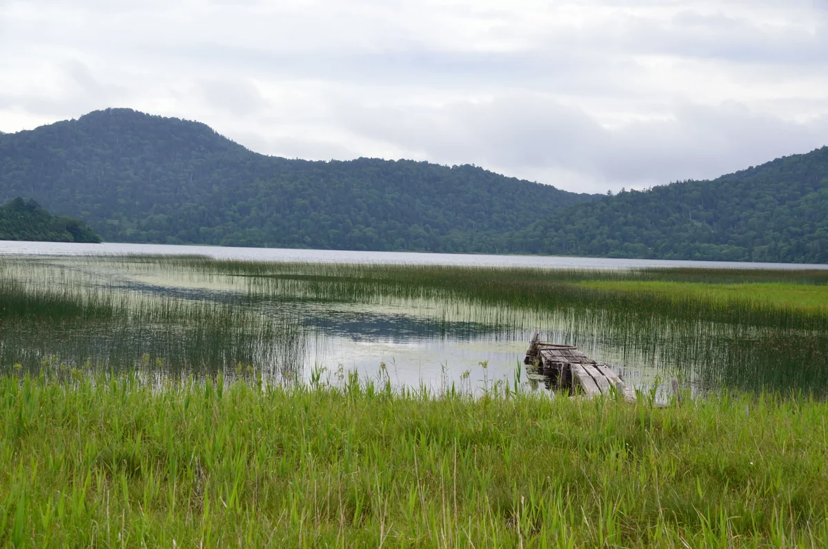 投稿写真：尾瀬沼