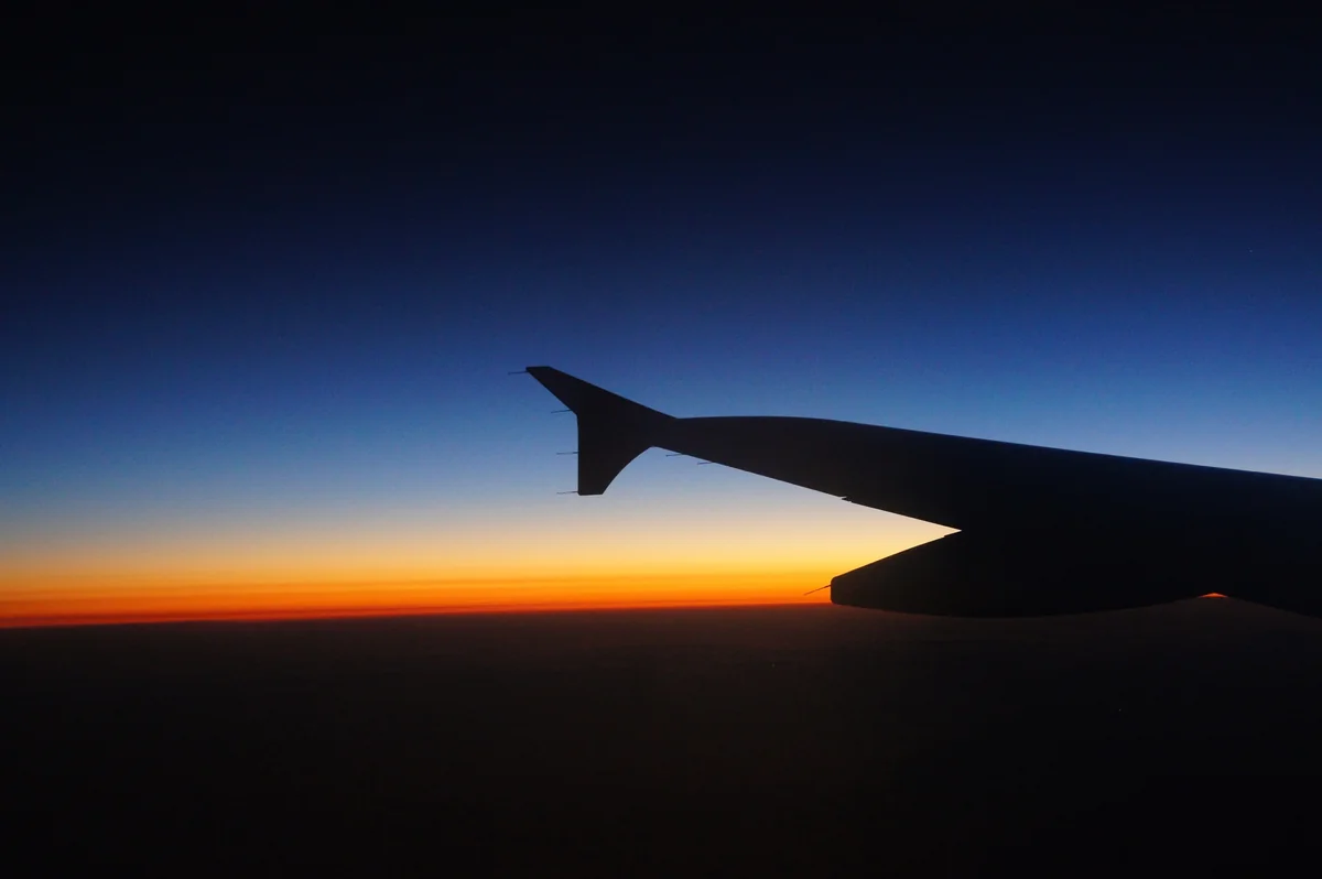 投稿写真：フライト