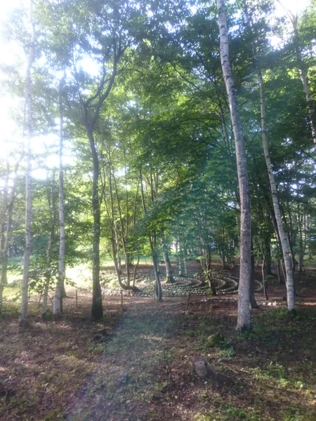 投稿：ストーンサークル