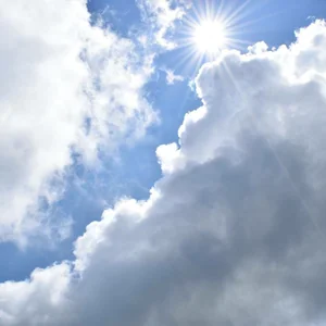 プロフィール画像：ぷち☆