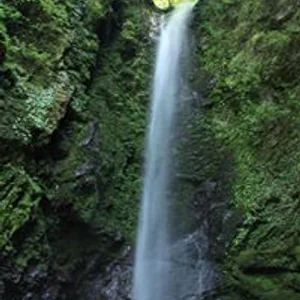 プロフィール画像：高坂　直樹