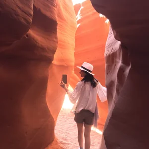 プロフィール画像：Pino