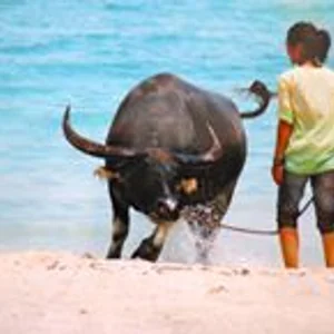 プロフィール画像：Kaiun