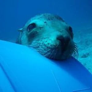 プロフィール画像：オジ