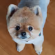 プロフィール画像：TOMOMITO