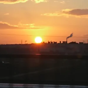 プロフィール画像：mori_mori.rinco