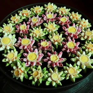 プロフィール画像：佐藤 元保