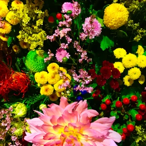 プロフィール画像：Mk Mekw