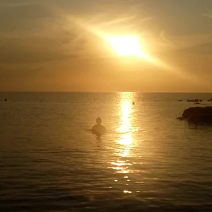 プロフィール画像：Chino_Tabi