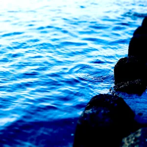 プロフィール画像：TK