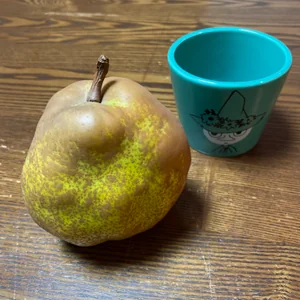 プロフィール画像：川中河童