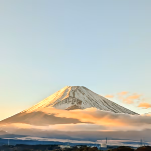 プロフィール画像：まいっち