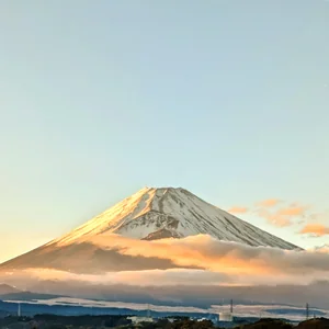 プロフィール画像：まいっち