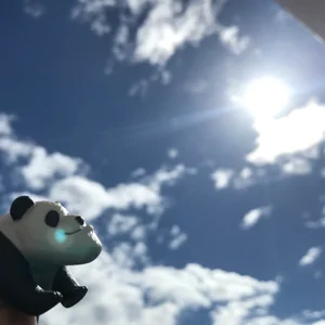 プロフィール画像：N.T