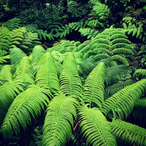 プロフィール画像：Akihiro Okada