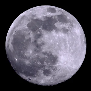 プロフィール画像：鯱衛門