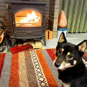 プロフィール画像：てんつく