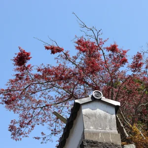 プロフィール画像：Nagato Zine