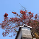 プロフィール画像：Nagato Zine