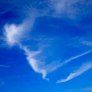 プロフィール画像：Aki Sun