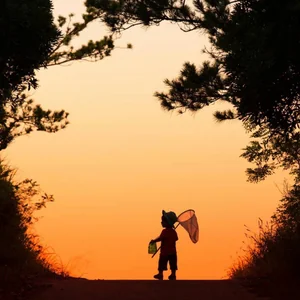 プロフィール画像：よっち