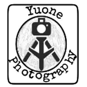 プロフィール画像：Yuichi Hashimoto