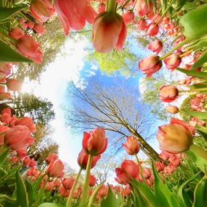 プロフィール画像：msti