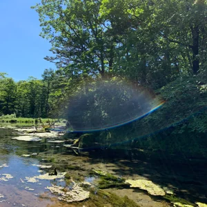 プロフィール画像：morninglight