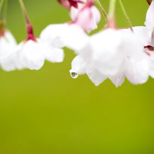 プロフィール画像：鍜治 暢宏