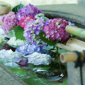 プロフィール画像：necolemon