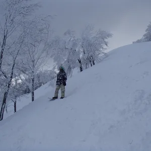 プロフィール画像：Tsutomu Sasaki