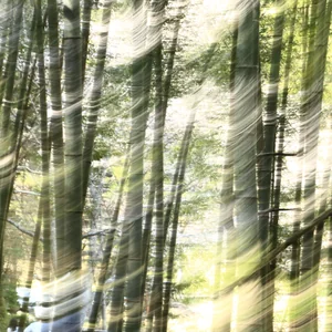 プロフィール画像：安曇野