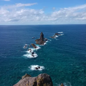 プロフィール画像：Aya.Okuda