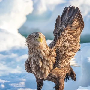 プロフィール画像：鰻★蜜柑