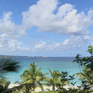 プロフィール画像：しまじろう