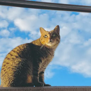 プロフィール画像：riiisaaa13